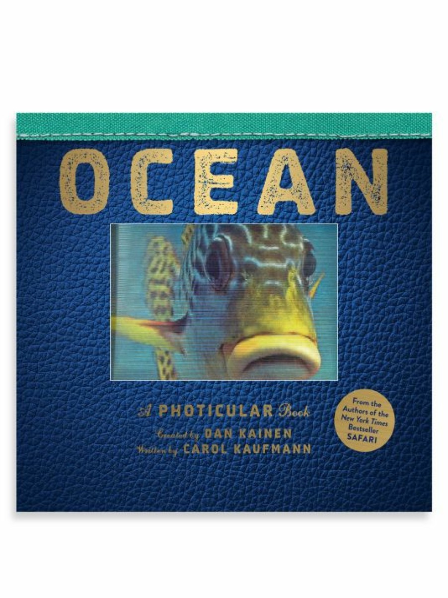 * Workman Publishing Ocean A Photicular Book For Kids | Toys & Books